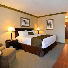 Отель BEST WESTERN PLUS Brookside Inn 2* Стандартный номер с различными типами кроватей