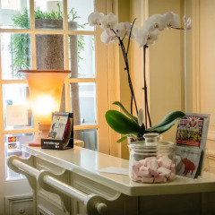 Hotel Gulden Vlies 2* Номер категории Эконом с различными типами кроватей фото 5
