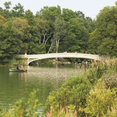 Отель Ritz-Carlton New York Central Park США, Нью-Йорк - отзывы, цены и фото номеров - забронировать отель Ritz-Carlton New York Central Park онлайн приотельная территория фото 2