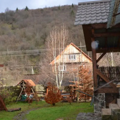 Гостиница Милитари-усадьба Grün Hof Украина, Поляна - отзывы, цены и фото номеров - забронировать гостиницу Милитари-усадьба Grün Hof онлайн детские мероприятия фото 2
