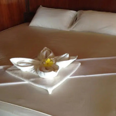 Отель Family Tanote Bay Resort 3* Номер категории Эконом с различными типами кроватей