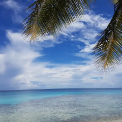Отель Pension Rangiroa Plage пляж