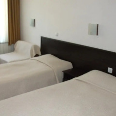 Отель Guest House Riben Dar 2* Стандартный номер с разными типами кроватей
