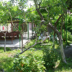 Отель Guest House Garniresthost Армения, Лусарат - отзывы, цены и фото номеров - забронировать отель Guest House Garniresthost онлайн фото 4