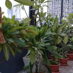 Отель Loft Suanplu Бангкок