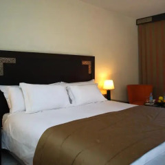 Hotel Atlas Asni 4* Стандартный номер с двуспальной кроватью фото 4