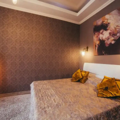Апартаменты Apartments Lux in city center Lviv комната для гостей фото 2
