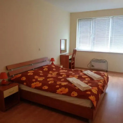 Апартаменты Eagle Rock Apartments Студия фото 3
