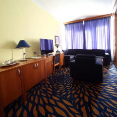 Central Hotel Pilsen 4* Люкс
