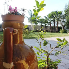 Отель Villa In Salento Лечче фото 8