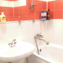 Гостиница Lesnaya Apartment в Санкт-Петербурге отзывы, цены и фото номеров - забронировать гостиницу Lesnaya Apartment онлайн Санкт-Петербург ванная фото 2