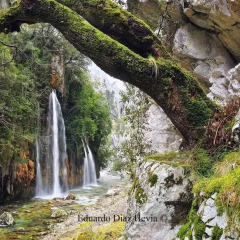 Отель El Balcón de Onís фото 4