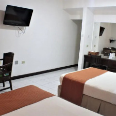 Altamont Court Hotel 3* Номер категории Эконом с различными типами кроватей фото 2