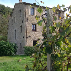 Отель B&B Mulino Barchio Италия, Монтекассино - отзывы, цены и фото номеров - забронировать отель B&B Mulino Barchio онлайн фото 2