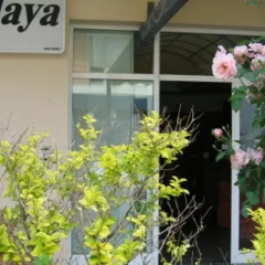 Hotel Playa Римини фото 2