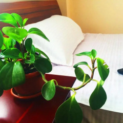 Sky Hostel Номер категории Эконом фото 12