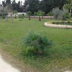 Отель Apollonion Country House Сиракуза