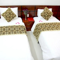 Отель Hoi An Golden Horse Villa 2* Улучшенный номер с 2 отдельными кроватями фото 3