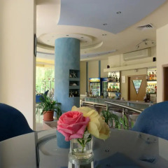 Отель Aparthotel Aquaria Солнечный берег гостиничный бар