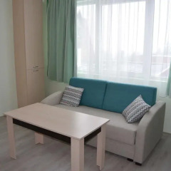 Отель Borovets Holiday Apartments Болгария, Боровец - отзывы, цены и фото номеров - забронировать отель Borovets Holiday Apartments онлайн комната для гостей фото 2