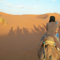 Отель Morocco Desert Trek Марокко, Мерзуга - отзывы, цены и фото номеров - забронировать отель Morocco Desert Trek онлайн приотельная территория фото 2