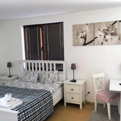 Апартаменты Predela 2 Holiday Apartments Банско комната для гостей фото 3
