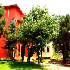 Отель Efos Bungalows Болгария, Св. Константин и Елена - отзывы, цены и фото номеров - забронировать отель Efos Bungalows онлайн фото 4