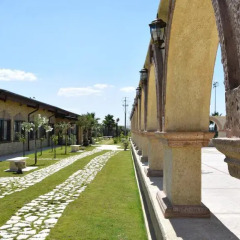 Отель Agriburgio Бутера фото 6