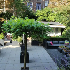 Hampshire Hotel Prinsengracht фото 6