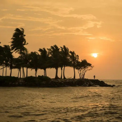 Отель Avani Kalutara Resort Шри-Ланка, Калутара - отзывы, цены и фото номеров - забронировать отель Avani Kalutara Resort онлайн пляж фото 2