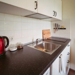 Отель Studio in The Vilnius Old Town Литва, Вильнюс - отзывы, цены и фото номеров - забронировать отель Studio in The Vilnius Old Town онлайн в номере фото 2
