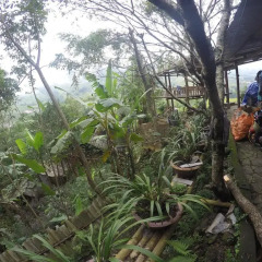 Отель Hoang Kim Homestay Шапа парковка