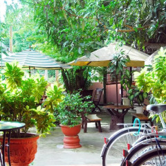 Отель Tigon Homestay