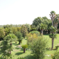 Отель Parco degli Aranci Кутрофьяно фото 4