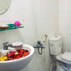 Отель Plum Tree Homestay 3* Стандартный номер с различными типами кроватей фото 2