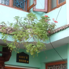 Отель Sanu House Непал, Лалитпур - отзывы, цены и фото номеров - забронировать отель Sanu House онлайн фото 5