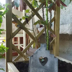 Отель B&B Monteguzzo Италия, Сан-Мартино-Сиккомарио - отзывы, цены и фото номеров - забронировать отель B&B Monteguzzo онлайн фото 7