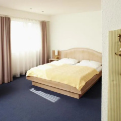 Отель Amadeo Hotel Schaffenrath Австрия, Зальцбург - отзывы, цены и фото номеров - забронировать отель Amadeo Hotel Schaffenrath онлайн комната для гостей