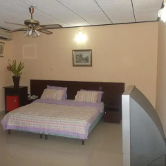 Conference Hotel & Suites Ijebu 4* Улучшенная вилла с различными типами кроватей фото 7