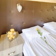 Fontana Hotel 3* Стандартный номер фото 25