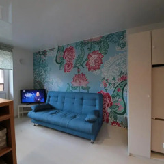 Апартаменты Studio Shkapino 11 комната для гостей фото 4