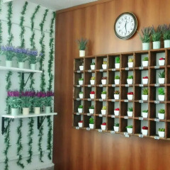 Отель Sifne Termal Otel Чешме спа