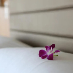 Royal Orchid Sheraton Hotel & Towers 5* Номер Делюкс с различными типами кроватей