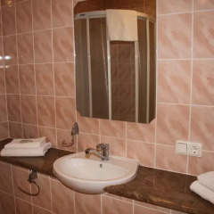 Hotel Dobele 2* Номер Комфорт с различными типами кроватей фото 5