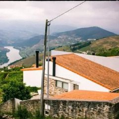 Отель Quintinha Do Miradouro Португалия, Мезан-Фриу - отзывы, цены и фото номеров - забронировать отель Quintinha Do Miradouro онлайн приотельная территория фото 2