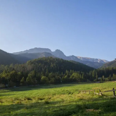 Отель Skalny Dom Zakopane Закопане