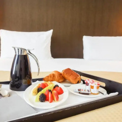 Отель Holiday Inn Paris - Charles de Gaulle Airport в номере фото 2
