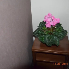 Отель Batori Львов удобства в номере