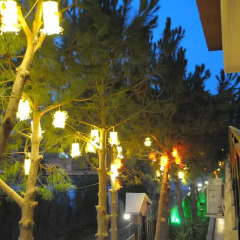 Отель Pedaliza Butik Otel 3* Люкс фото 12