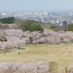 APA Hotel Honhachinohe Мисава пляж